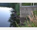 Bild: Anne Wiesnet
Fast 50 Zentimeter Wasser fehlen dem Eschenbacher Obersee. Der untere dunkelgraue Bereich am Mönch zeigt das deutlich. Die momentane Hitze und eine Maßnahme im Frühjahr machen den Tieren und Pflanzen jetzt Probleme.
