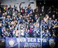 Archivbild: Tobias Neubert
Die Blue Devils Weiden laden am Samstag zum öffentlichen Training in der Hans-Schröpf-Arena ein.