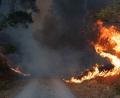 Bild: Jan Ohmen/dpa
Flammen schlagen im Hürtgenwald hoch.