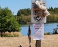 Bild: Gabi Schönberger
Giftige Blaualgen gefährden das Badevergnügen im Dießfurter Freizeitsee für Mensch und Tier.