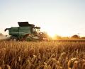 Symbolbild: Rene Schmidt/dpa
Tennet und der Bayerische Bauernverband haben beschlossen, dass Landwirte zwischenbegrünte Flächen entlang des Süd-Ost-Links zur Futtergewinnung nutzen dürfen.