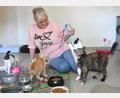 Archivbild: Gabi Schönberger
Noch leitet Jutta Böhm das Weidener Tierheim. Neben vielen anspruchsvollen Aufgaben gehört auch das Spielen mit den Katzen zu ihrem Alltag.