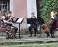 Bild: Willi Cantzler
Bei den Wurzer Sommerkonzerten spielte am Samstag das Ševčík-Quartet auf.
