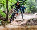 Symbolbild: Philipp von Ditfurth/dpa
Dank der Landschaft eignet sich die Oberpfalz hervorragend zum Mountainbiken. Auch die Stadt Kemnath will mit ehrenamtlichen Trailpaten ein Angebot schaffen.