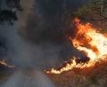 Bild: Jan Ohmen/dpa
Die lange Trockenheit erhöht das Waldbrandrisiko.