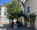 Bild: Andreas Ascherl  
Die Amberger Altstadt muss nicht in der Hitze ersticken. Ein Baum – gepflanzt von einem Privatmann – spendet Schatten, ein Brunnen – selbst angelegt – schafft ein angenehmes Klima.