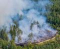 Bild: Ferdinand Merzbach/NEWS5/dpa
Mehr als 200 Einsatzkräfte haben zusammen mit Landwirten gegen den Waldbrand gekämpft.