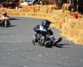 Bild: Josef Rosner
Beim Bobby-Car-Rennen in Münchenreuth rasten die Teilnehmer bei Temperaturen über 30 Grad über die 300 Meter lange Strecke durchs Dorf.