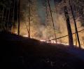 Bild: Armin Daubenmerkl/Feuerwehr Freudenberg-Wutschdorf
Auch nachdem der Brand im Wald bei Freudenberg gelöscht war, sind in den Tagen danach immer wieder kleine Feuer ausgebrochen, weil Wind Glutnester im Boden neu angefacht hat.