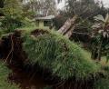 Bild: Stephen Lam/San Francisco Chronicle via AP/dpa
Hurrikan „Lala“ hat auf Hawaiis größter Insel Big Island schwere Schäden hinterlassen.