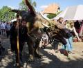 Archivbild: allforyouevents
Ende August findet wieder Mittelalter-Fantasy-Markt in Pressath statt.