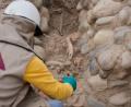 Bild: Martin Mejia/AP/dpa
Das Team fand die rund 1.400 Jahre alten Überreste eines vermutlich erwachsenen Mannes.