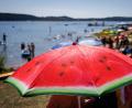 Bild: Daniel Karmann/dpa
Das Baden im Kleinen Brombachsee ist wegen Blaualgen derzeit untersagt. (Symbolbild)