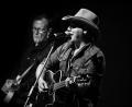 Bild: Klaus Biella
Die Folsom Prison Band tritt beim Zelt- und Kulturfestival in Schwandorf auf.