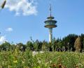 Bild: Gabi Schönberger
Seit 60 Jahren bedient der Fernsehturm auf der Geißleite am Fischerberg bei Weiden verschiedene Funkdienste (u.a. Mobilfunk, Rundfunk oder den Funkverkehr für Flugzeuge).