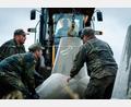 Bild: ---/Polnische Streitkräfte/dpa
Die Bundeswehr hilft bei der Befestigung von Polens Ostgrenze. (Archivfoto)