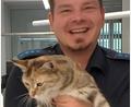 Bild: Polizei Nabburg/Hermann
Die PI Nabburg konnte eine entlaufene Katze wieder an die Besitzerin übergeben.