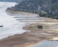 Bild: Boris Roessler/dpa
Das Niedrigwasser auf wichtigen Wasserstraßen wie dem Rhein ist eine Belastung für die deutsche Wirtschaft. (Archivbild)