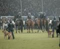 Bild: Foto Huebner/dpa
Beim DFB-Pokalspiel in Mannheim war auch berittene Polizei auf dem Spielfeld.