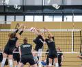 Bild: Andreas Arnold/dpa
Das deutsche Team erwischte einen Fehlstart ins Spiel. (Archivbild)