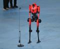Bild: Johannes Neudecker/dpa
Roboter „Blitz“ hatte bereits im Vorfeld den 100-Meter-Rekord von Usain Bolt unterboten.