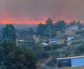 Bild: Cari Kieffer/Cari Kieffer via AP/dpa
Brände breiten sich in Nevada aus.