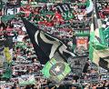 Bild: Sina Schuldt/dpa
Fans von Hannover 96 beim Pokalspiel in Bremen.