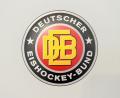 Bild: Tobias Hase/dpa
Der Deutsche Eishockey-Bund stellt in München seinen neuen Bundestrainer vor. (Archivbild)