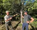 Bild: ck
Der Baum des Jahres 2026: die Zitterpappel beziehungsweise Aspe (oder Espe). Forstdirektor Gerhard Hösl vom Amt für Landwirtschaft, Ernährung und Forsten Tirschenreuth-Weiden (links) und der Revierleiter Forstamtmann Andreas Arnold (rechts) erläutern die charakteristischen Merkmale dieses Pionierbaums.