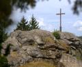 Bild: hop
Eingerahmt von Bäumen, Büschen und Wildpflanzen steht sie oben auf dem Berg – die Burgruine Wildstein.
