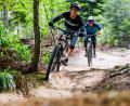 Symbolbild: Philipp von Ditfurth/dpa
Dank der Landschaft eignet sich die Oberpfalz hervorragend zum Mountainbiken. Auch die Stadt Kemnath will mit ehrenamtlichen Trailpaten ein Angebot schaffen.
