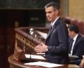 Bild: Eduardo Parra/EUROPA PRESS/dpa
Spaniens Regierungschef Pedro Sánchez hat Falschinformationen in sozialen Netzwerken für den Massenandrang auf die Nordafrika-Exklave Ceuta von Ende Juli mitverantwortlich gemacht. (Archivbild)