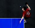 Bild: Tom Weller/dpa
Tischtennis-Star Fan Zhendong.