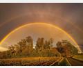 Bild: Alexander Wolf/onw-images/dpa
Ein Regenbogen strahlt im Abendlicht in Baden-Württemberg.
