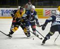 Bild: Thomas Schrems
Die Blue Devils Weiden um Luca Gläser (Mitte) kassierten in Sokolov eine 1:3-Niederlage.