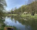 Archivbild: Naturpark Hirschwald
Das Wasserwirtschaftsamt Weiden kündigt Vermessungsarbeiten an der Vils bei Ensdorf an.