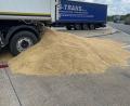 Bild: Verkehrspolizeiinspektion Hof
Ein Lkw-Fahrer verlor auf dem Parkplatz Bärenholz acht Tonnen Hafer. Die Autobahnmeisterei und die Spedition kümmerten sich um die Reinigung.