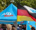 Bild: Peter Gercke/dpa
Die AfD liegt in den Umfragen vor der Wahl in Sachsen-Anhalt klar vorn. (Archivbild)