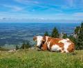 Bild: Peter Kneffel/dpa
Wer in Bayern einen Ausflug plant und etwa im Voralpenland wandern will, dürfte am Sonntag das schönere Wetter erwischen. (Symbolbild)