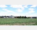 Bild: Alfred Schorner
Auf der bisher landwirtschaftlich genutzten Fläche südlich von Hiltersdorf soll ein Wohngebiet mit 15 Bauparzellen entstehen.