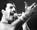Bild: dpa
Freddie Mercury gilt als einer der legendärsten Live-Performer der Musikgeschichte. (Archivbild)