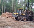 Bild: Josef Popp
Noch etwa drei Wochen werden schwere Maschinen im Archenleitener Wald mit Durchforstungsarbeiten beschäftigt sein. Dann kommen Rückepferde zum Einsatz.