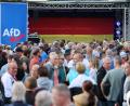 Bild: Jan Woitas/dpa
AfD in Sachsen-Anhalt: „Dramatisch falsche Botschaft“ (Archivbild)