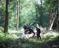 Bild: Christoph Reichwein/dpa
Die Polizei sucht mitten im Wald nach dem Verdächtigen.