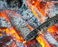 Symbolbild: Patrick Pleul/dpa
Ein 58-Jähriger stürzte am Freitag bei Luhe-Wildenau in ein Lagerfeuer und erlitt schwere Brandverletzungen.