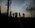 Bild: Emrah Gurel/AP/dpa
Immer wieder gibt es Waldbrände in der Türkei. (Archivbild)