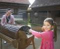 Bild: Freilandmuseum Oberpfalz
Am kommenden Sonntag dreht sich im Freilandmuseum Oberpfalz alles um die Kartoffel.