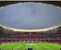 Bild: Jan Woitas/dpa
Wer wird in diesem Stadion um den Titel spielen? (Archivbild)