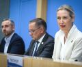 Bild: Bernd von Jutrczenka/dpa
Will gegen irreguläre Migration vorgehen: AfD-Co-Chefin Alice Weidel.