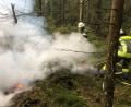 Bild: Feuerwehr Weiden
Ein ausgedehnter Torfbrand ruft die Feuerwehr im Waldgebiet zwischen Weiden und Parkstein auf den Plan.